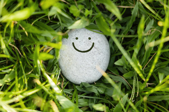 Smiling pebble on green grass, mental wellness, happiness and peaceful