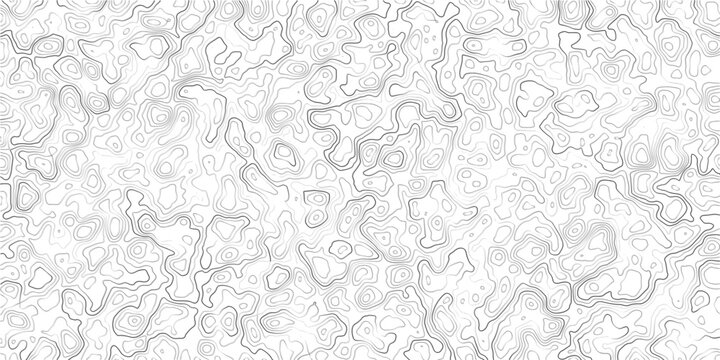 Gray and white abstract topographic map pattern with wavy lines and shapes illustration