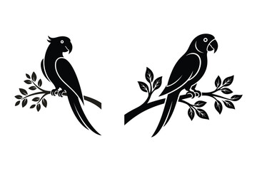 Fototapeta premium Two parrots sitting on branches, black and white vector illustration