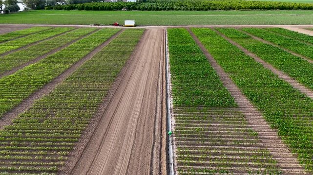 Drone flying over experimental crop fields for scientific research