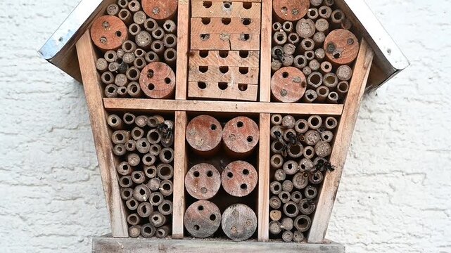 Insektenhotel