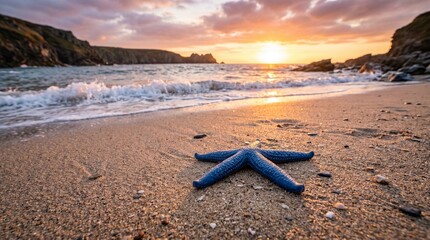 Fototapeta premium A striking blue starfish rests on a sandy beach during a serene sunset with gentle waves lapping the shore