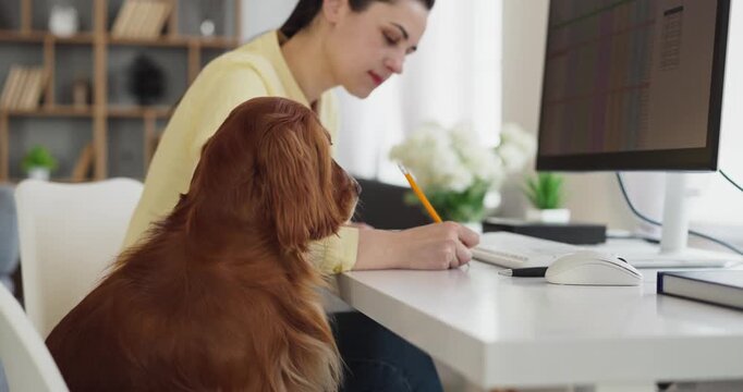 Woman and dog at home office computer desk. She is working beside a monitor and keyboard, writing notes with a calm pet nearby, showing focus in a modern workspace. Clear concept of remote work.