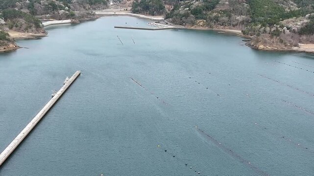 Aerial View of Aquaculture Facilities and Jetty at Ayukawa, Oshika Peninsula, Japan