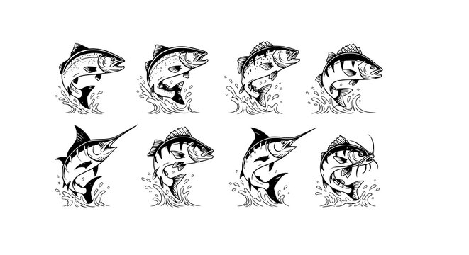 Jumping Fish Vector Collection with Dynamic Water Splash Wildlife Illustration