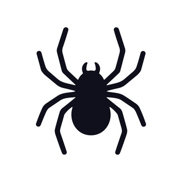Black spider silhouette insect icon.