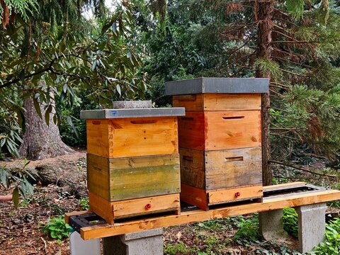 Bee hives in the park. Vojanovy sady in Prague, Czech Republic.
