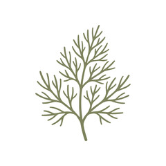 Fototapeta premium Green leafy branch with thin stems.