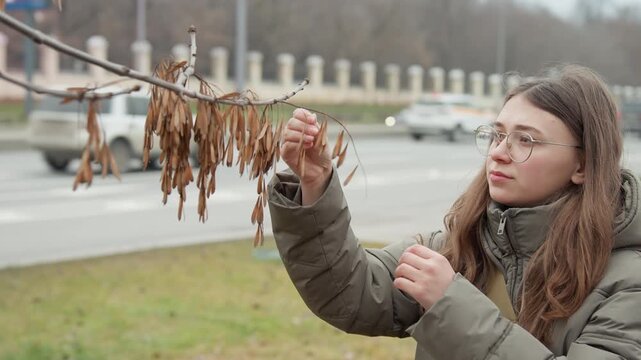 Young white woman examining tree seedpods near urban roadside, student botanist in green puffer coat and knit headband, inspecting dried samara clusters with careful hands, overcast sky and muted
