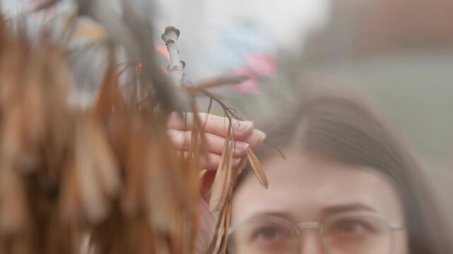 Closeup woman examining seed pods on branch, soft shallow focus with glasses and gentle fingers touching dried samaras, muted winter tones and blurred background conveying quiet curiosity and study