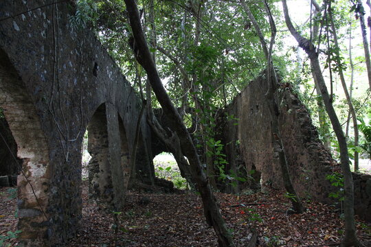 Ruines de l'usine sucri&egrave;re de Soulou, &agrave; Mayotte