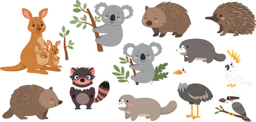 Fototapeta premium Australian Wildlife Animal Collection Featuring Kangaroo Koala Wombat Echidna Platypus Cockatoo Emu and Native Fauna Vector Illustration Set