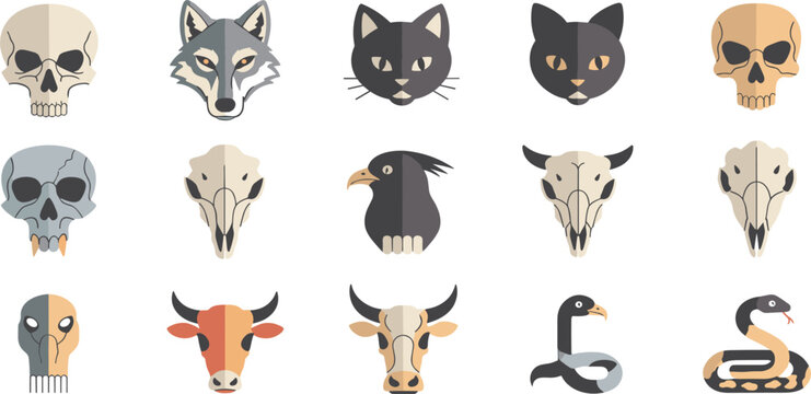 Animal Skull and Wildlife Head Collection Featuring Wolf Cat Cattle Bird Snake and Anatomical Vector Illustration Set
