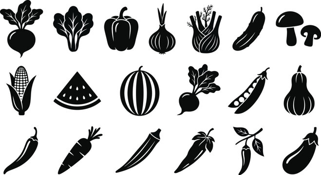 vegetable silhouettes on white background silhouette beet