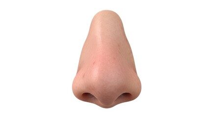 Fototapeta premium Isolated realistic human nose close-up