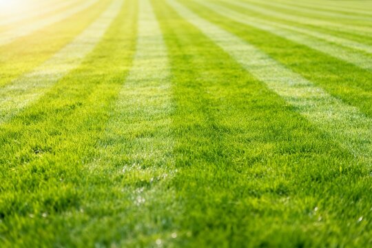 Green grass with striped pattern