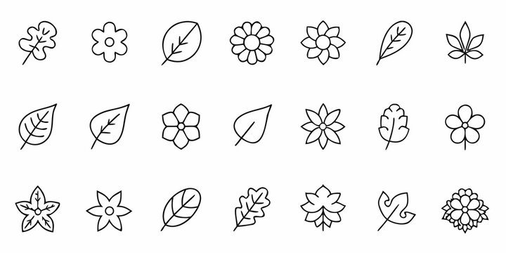 leaf and flower icons minimalist line art