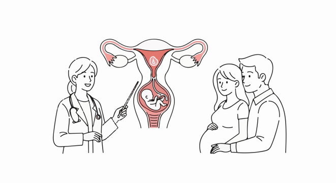 Doctor explains pregnancy to expectant couple
