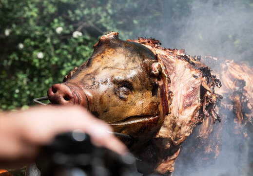 pig on the grill