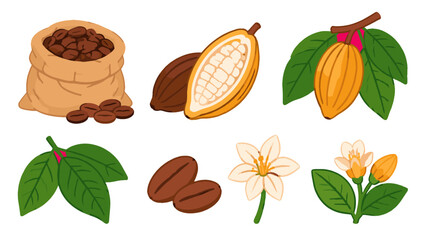 Obraz premium Cocoa plant elements with beans pods leaves and flowers vector set