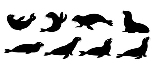 Collection of black silhouettes featuring seals in various poses, vector illustrations of seals isolated on white background. © kowok