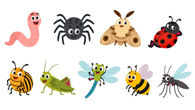 Cute cartoon insects and worm character set on white background