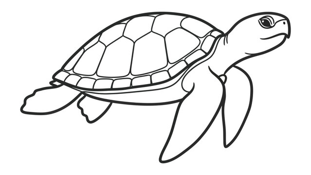 Detailed sea turtle shell pattern line drawing illustration