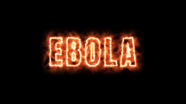 Ebola Text Burning on Black Background Animation Virus Concept Fire Text Effect Loopable 4K