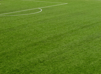 Curved field marking on green soccer pitch © Andrey