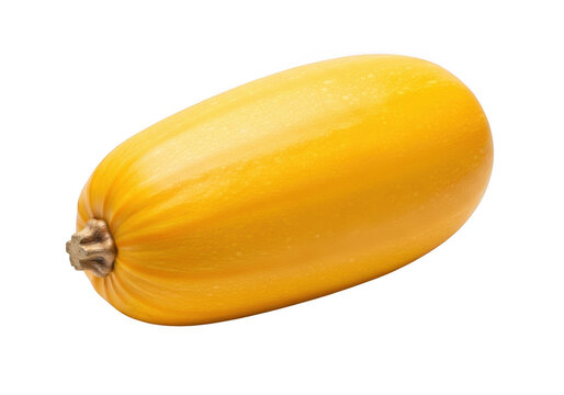 yellow spaghetti squash on transparent background vegetable food produce photo photography realistic