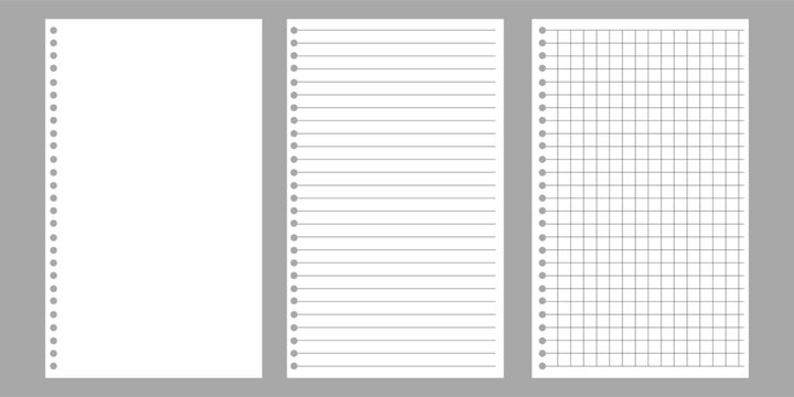 Set of Blank, Lined and Graph Notebook Paper Pages With Punched Holes and Gray Margins
