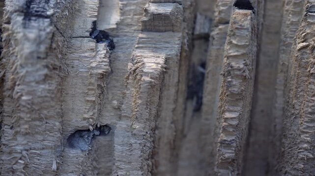 Macro shot of cracked old weathered wood texture background