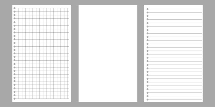 Set of Blank, Lined and Graph Notebook Paper Pages With Punched Holes and Gray Margins
