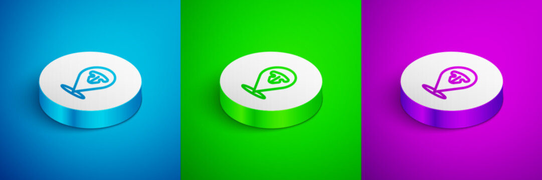 Isometric line Cat nose icon isolated on blue, green and purple background. White circle button. Vector