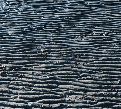 
Photograph of the North Sea Wadden Sea at low tide, capturing the patterns formed in the mudflats