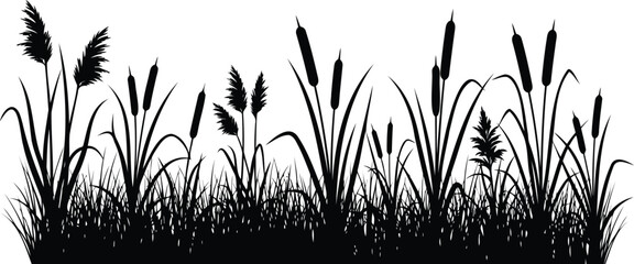 Obraz premium Black silhouette of cattails and wild grass in a field