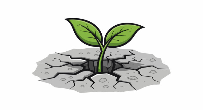 A green sprout with two leaves emerges from cracked, dry ground
