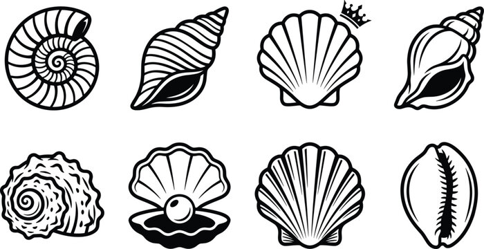 Collection of elegant seashell vector icons, black and white marine shell illustration set, ocean nautical symbols, coastal decorative outline design