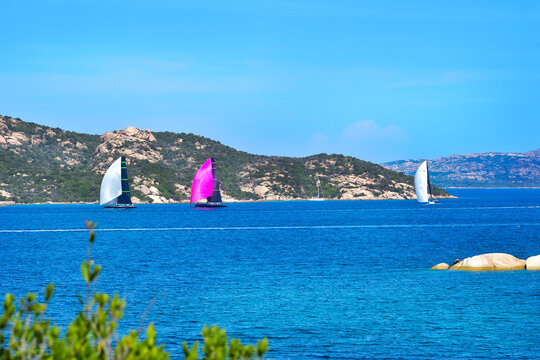 regata 