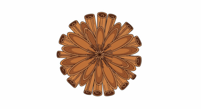 A radial arrangement of cinnamon sticks and star anise forms a textured floral pattern on a white background