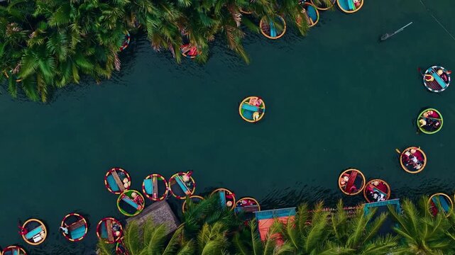 Aerial view of bamboo basket boats in lush hoi an waterways, vietnam tropical landscape.