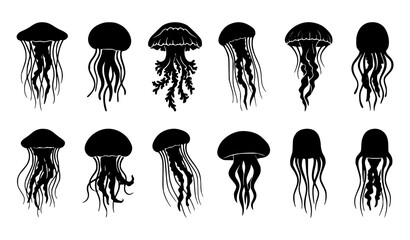 Jellyfish Silhouette Collection Vector Set Featuring Various Marine Life Shapes © Boloram