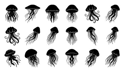 Jellyfish Collection Vector Set, Marine Ocean Life Silhouette Pack © Boloram