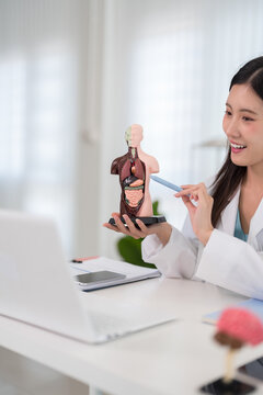 Asian female doctor medical professional teaching anatomy using human body organ model healthcare education medical student studying internal organs hospital