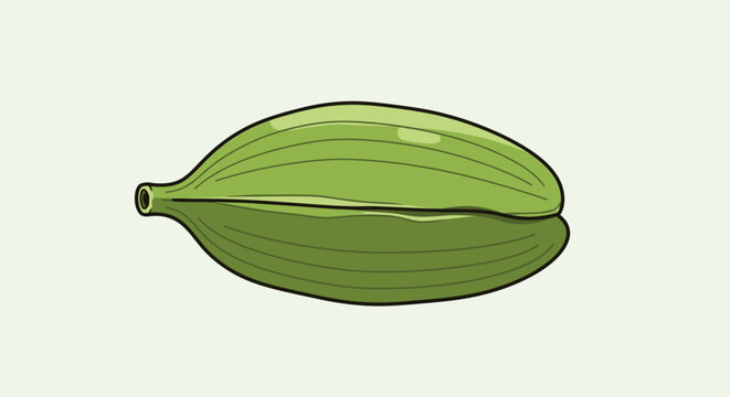 Green Pistachio Nut Shell Illustration.