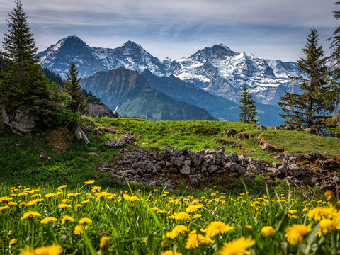 Eiger, M&ouml;chte und Jungfrau
