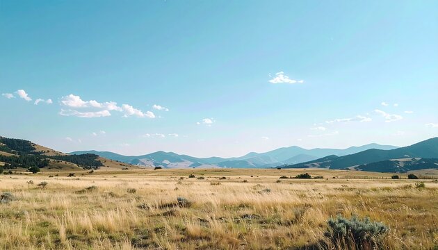 Expansive landscape with golden fields and distant mountains under a bright blue sky.
