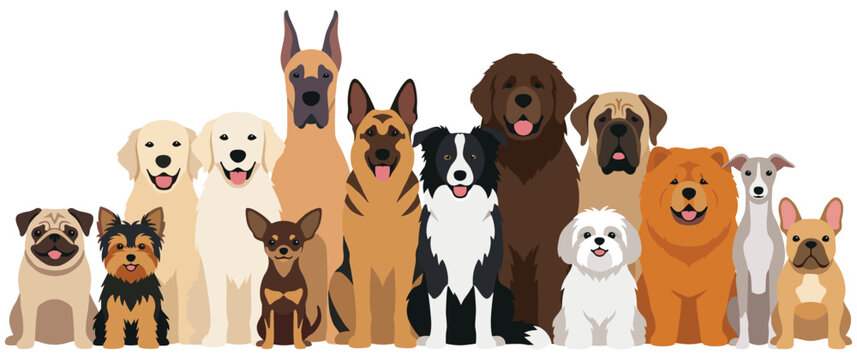 Dog breeds collection isolated on white background flat design.