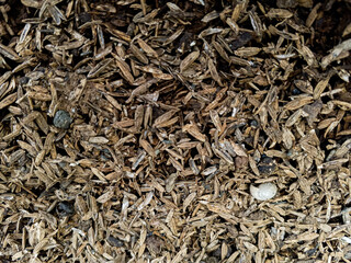 Fototapeta premium Close up rice husk texture background. Natural agricultural waste material commonly used for farming, compost, biomass, and organic fertilizer concepts.