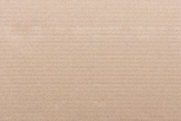 Fototapeta premium Minimal beige corrugated paperboard with subtle line pattern. Neutral recycled carton surface. kraft sheet